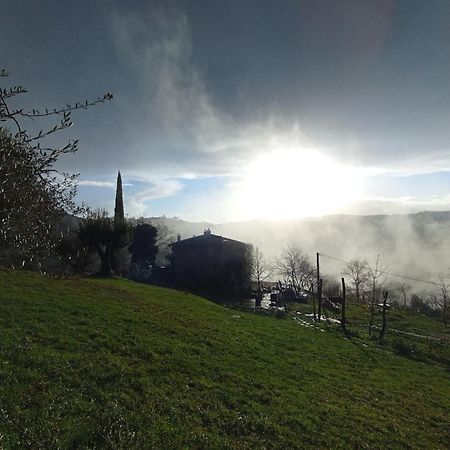Agriturismo Il Poggio Degli Scoiattoli 佩鲁贾 外观 照片