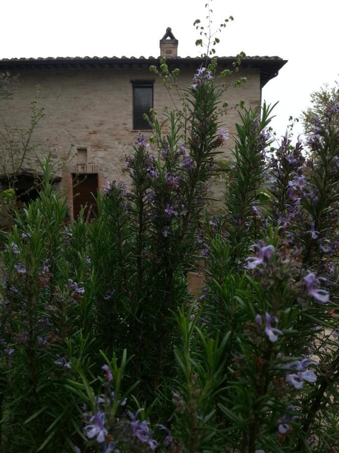 Agriturismo Il Poggio Degli Scoiattoli 佩鲁贾 外观 照片
