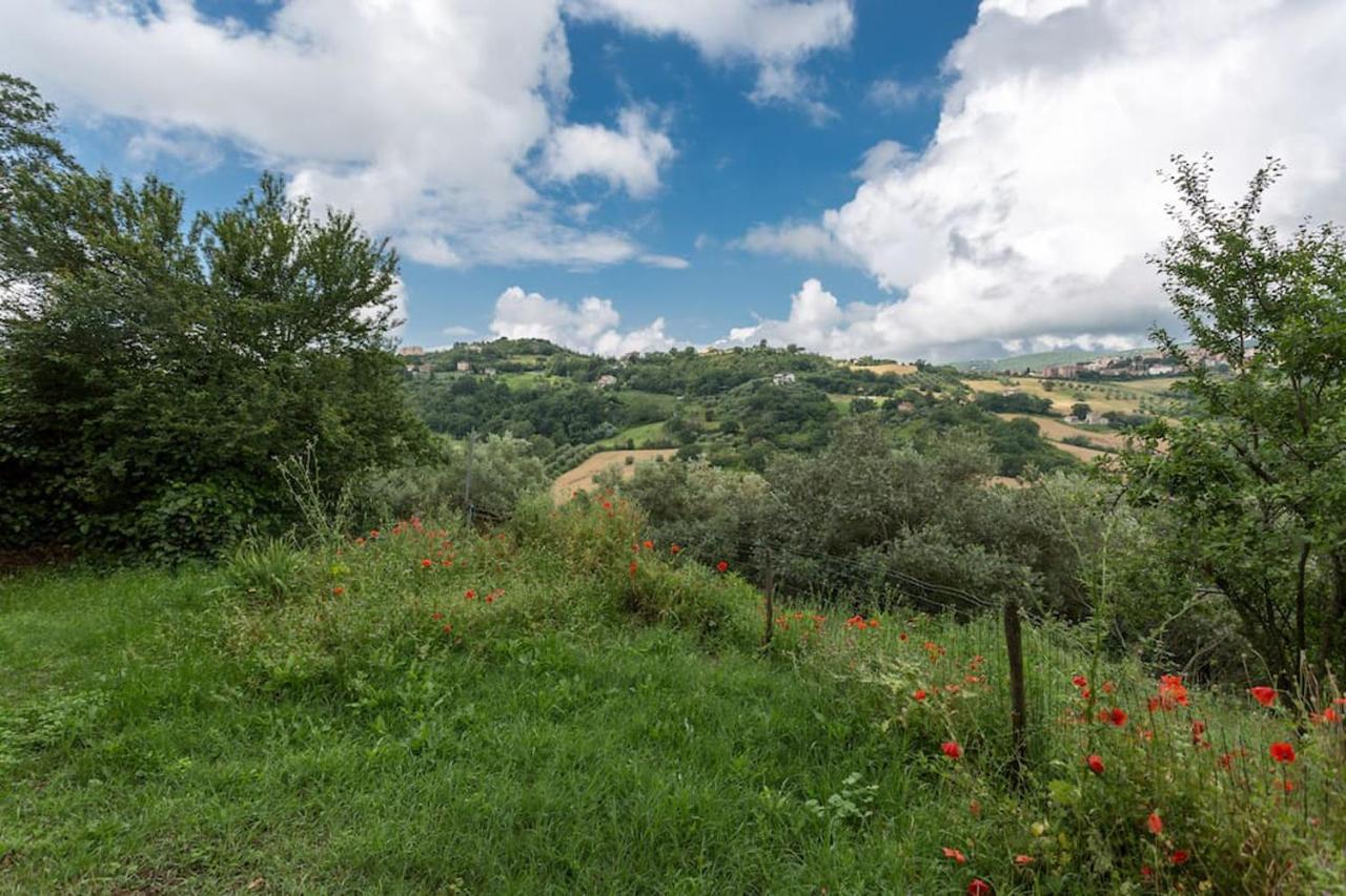 Agriturismo Il Poggio Degli Scoiattoli 佩鲁贾 外观 照片