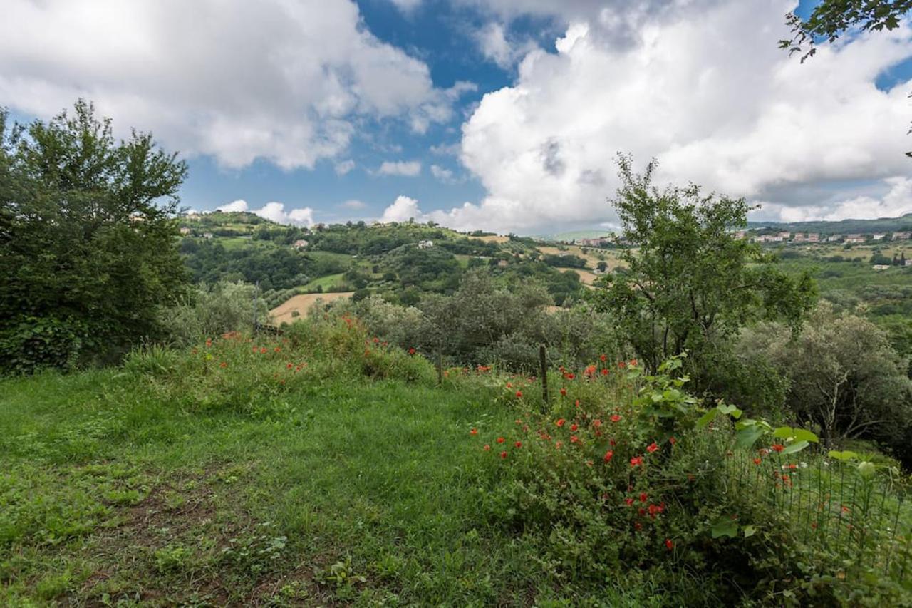 Agriturismo Il Poggio Degli Scoiattoli 佩鲁贾 外观 照片