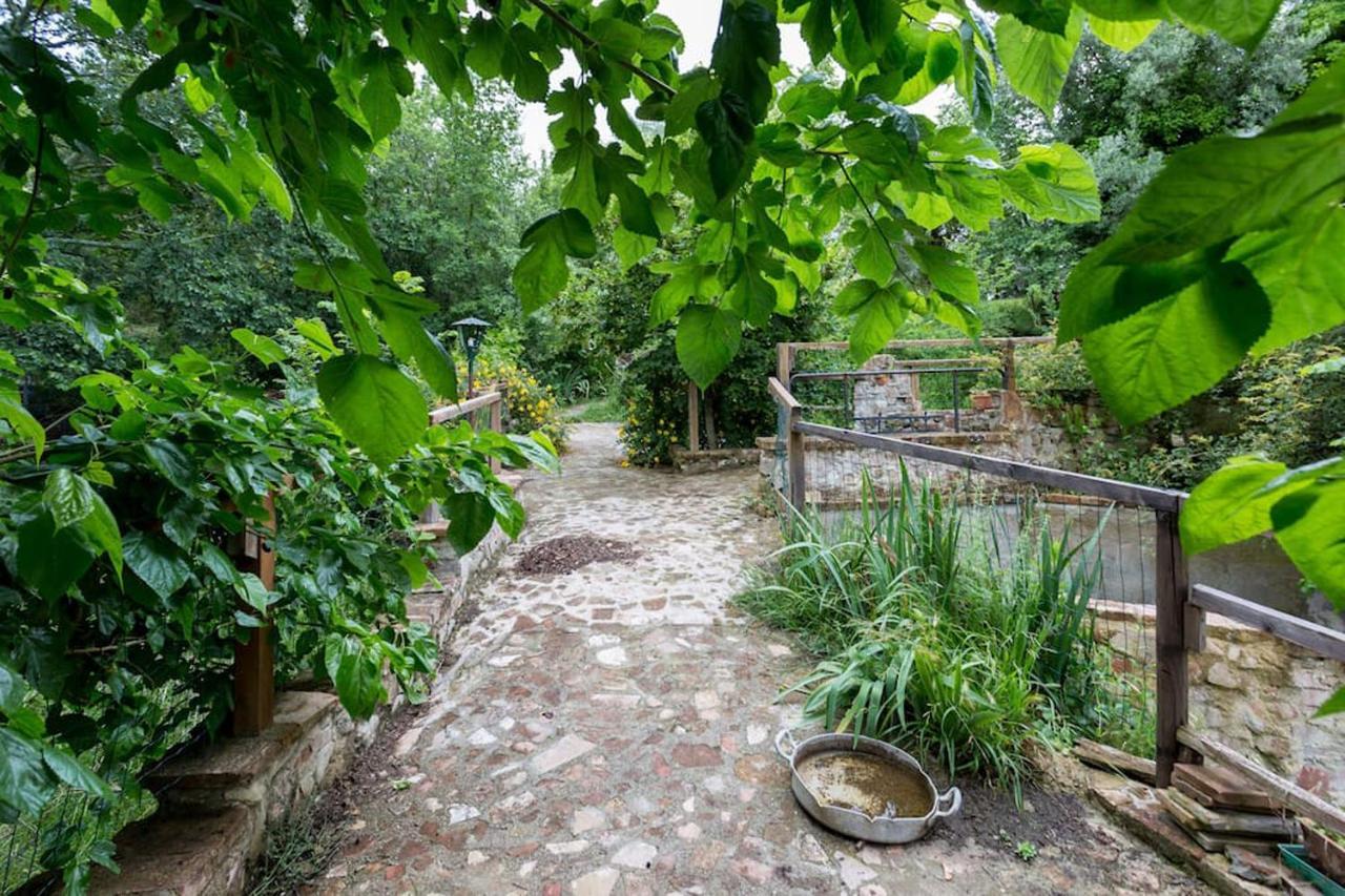 Agriturismo Il Poggio Degli Scoiattoli 佩鲁贾 外观 照片