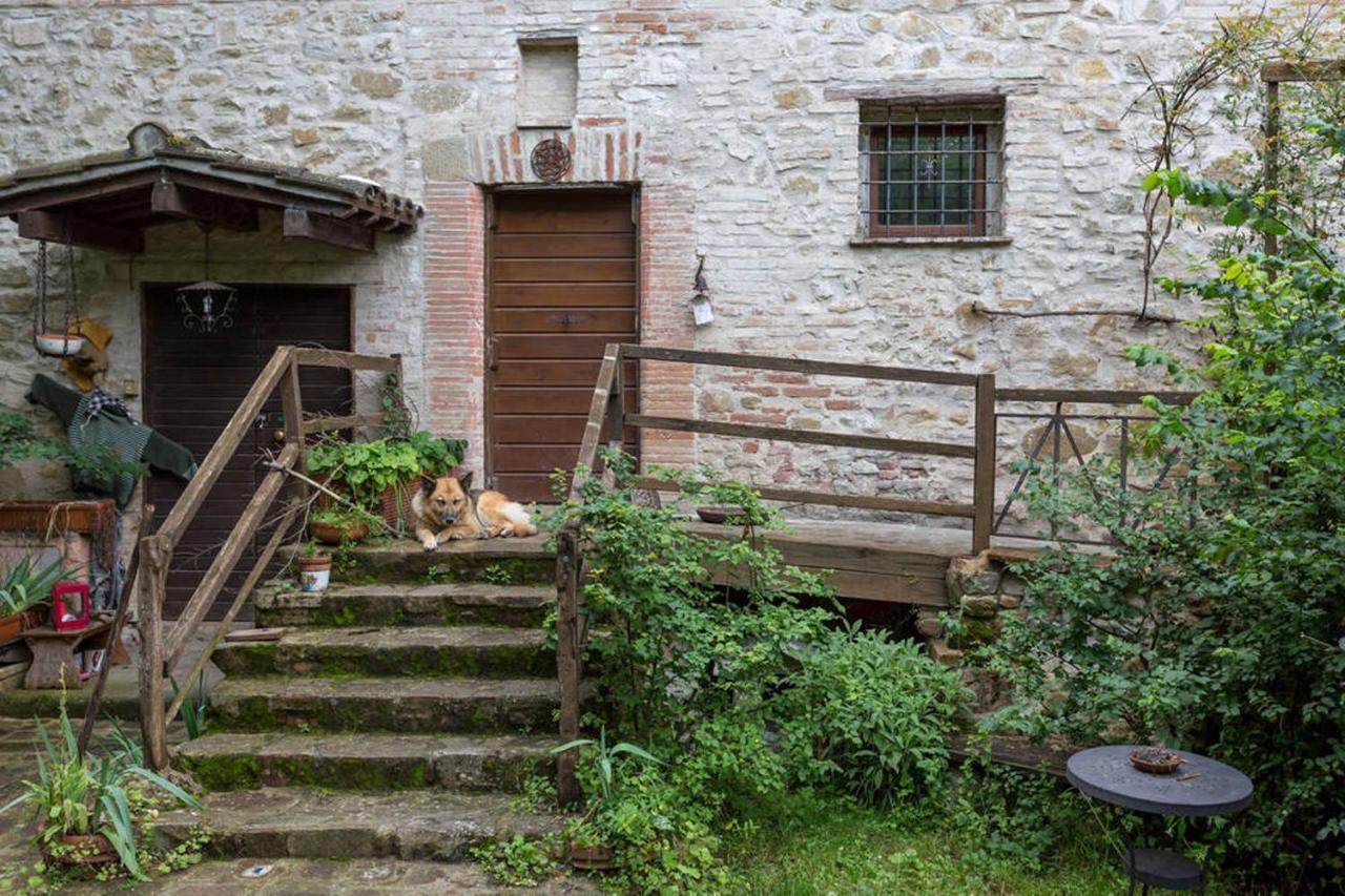 Agriturismo Il Poggio Degli Scoiattoli 佩鲁贾 外观 照片