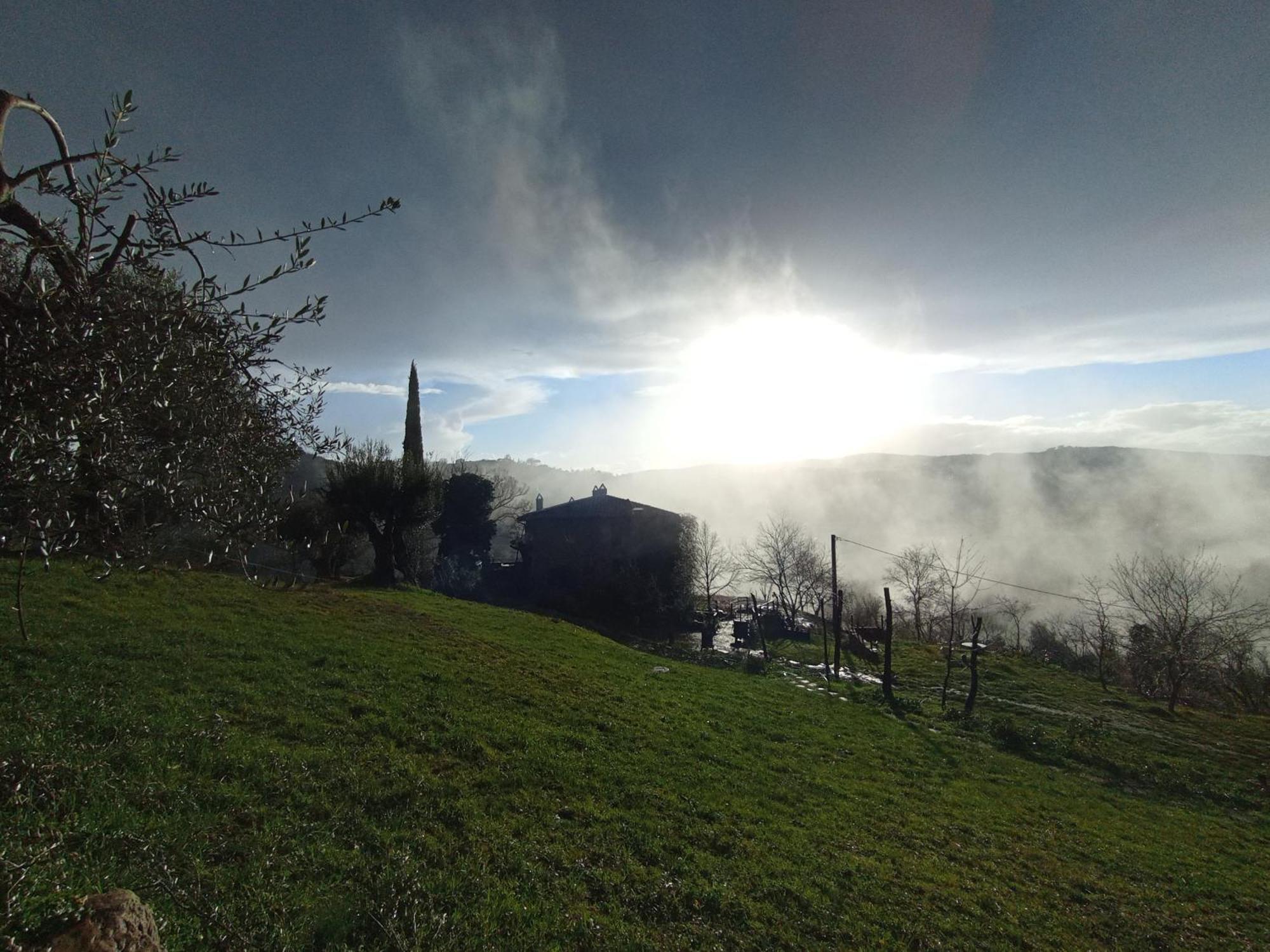 Agriturismo Il Poggio Degli Scoiattoli 佩鲁贾 外观 照片