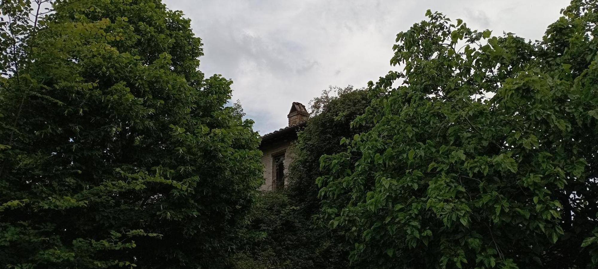 Agriturismo Il Poggio Degli Scoiattoli 佩鲁贾 外观 照片